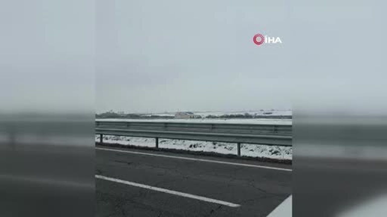 Kars'ta gündüz vakti 6 kurttan oluşan sürü merkez sanayi bölgesine indi