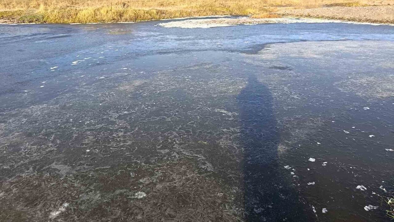 Kars'ta sıfırın altında 13 derece: Soğuk hava günlük hayatı olumsuz etkiledi