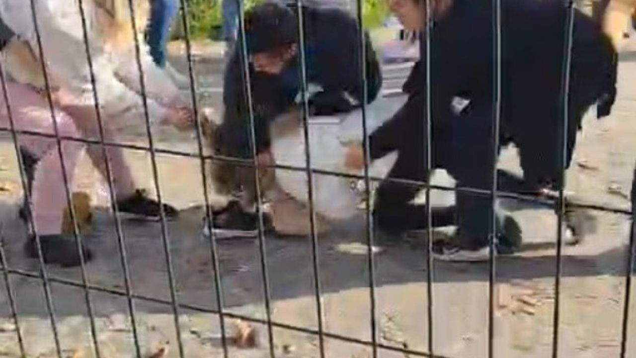 Kartal Anadolu Adliyesi önünde iki aile arasında kavga