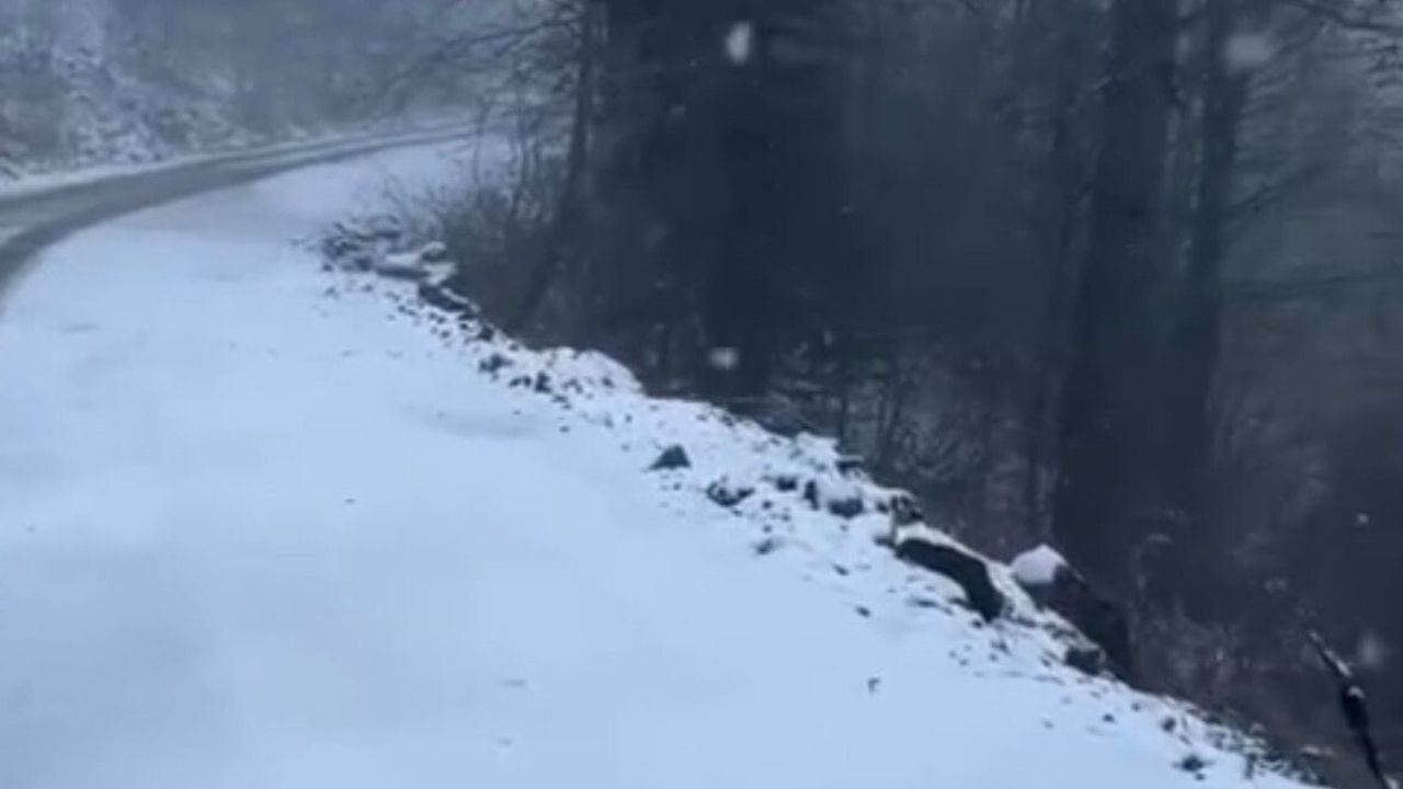 Kartepe'de kar yağışı devam ediyor; zirvede kartpostallık manzaralar oluştu