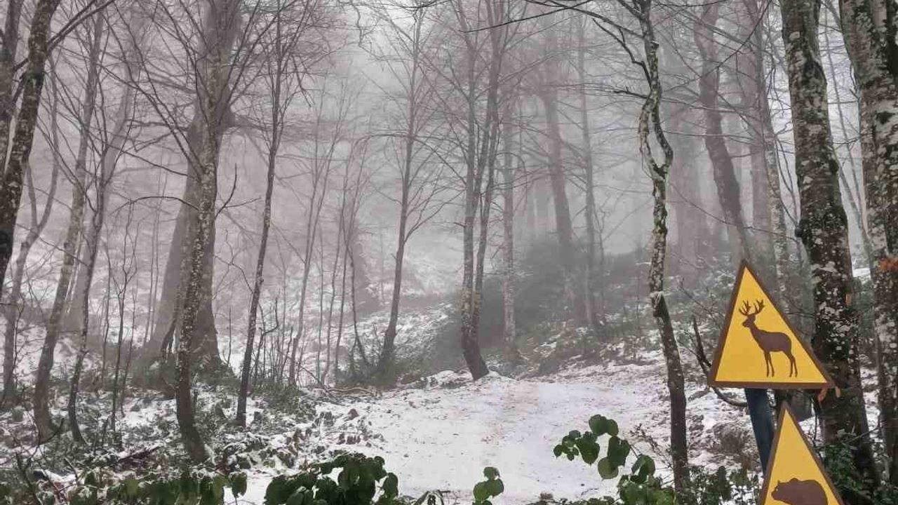 Kartepe'de Samanlı Dağları zirvesinde kar yağışı sürüyor, ekipler yolları açık tutuyor