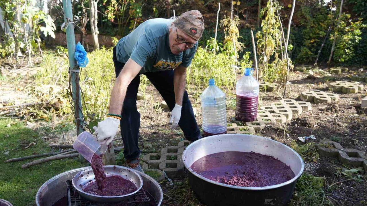 Kastamonu'da kokulu kara üzüm üretimi artırılacak: Resveratrol içeriği ve kırsal kalkınma hedefleniyor