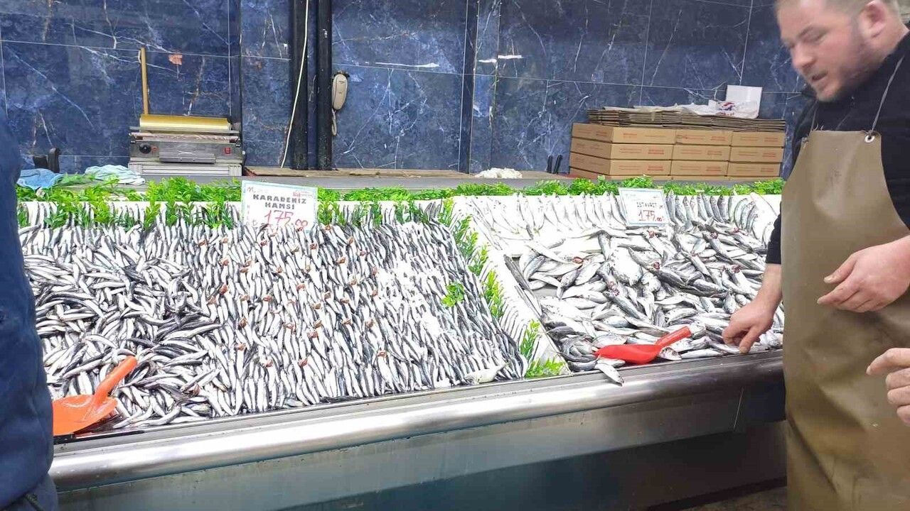 Kayseri'de hamsi bolluğu sürüyor: Palamut azlığı tezgahları etkiledi