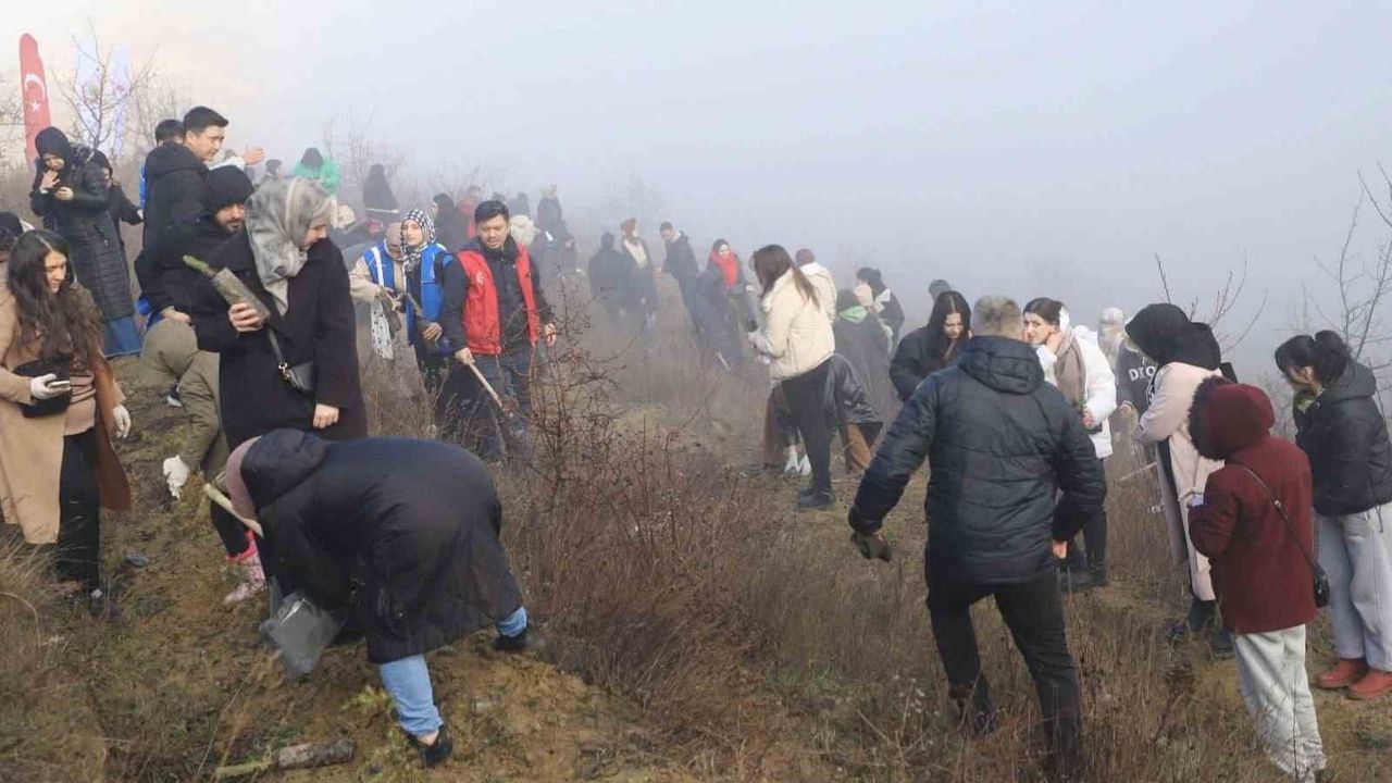 KBÜ'nün 'Genç Ellerle Yeşeren Gelecek' Projesiyle 500 Çam Fıstığı Fidanı Toprakla Buluştu