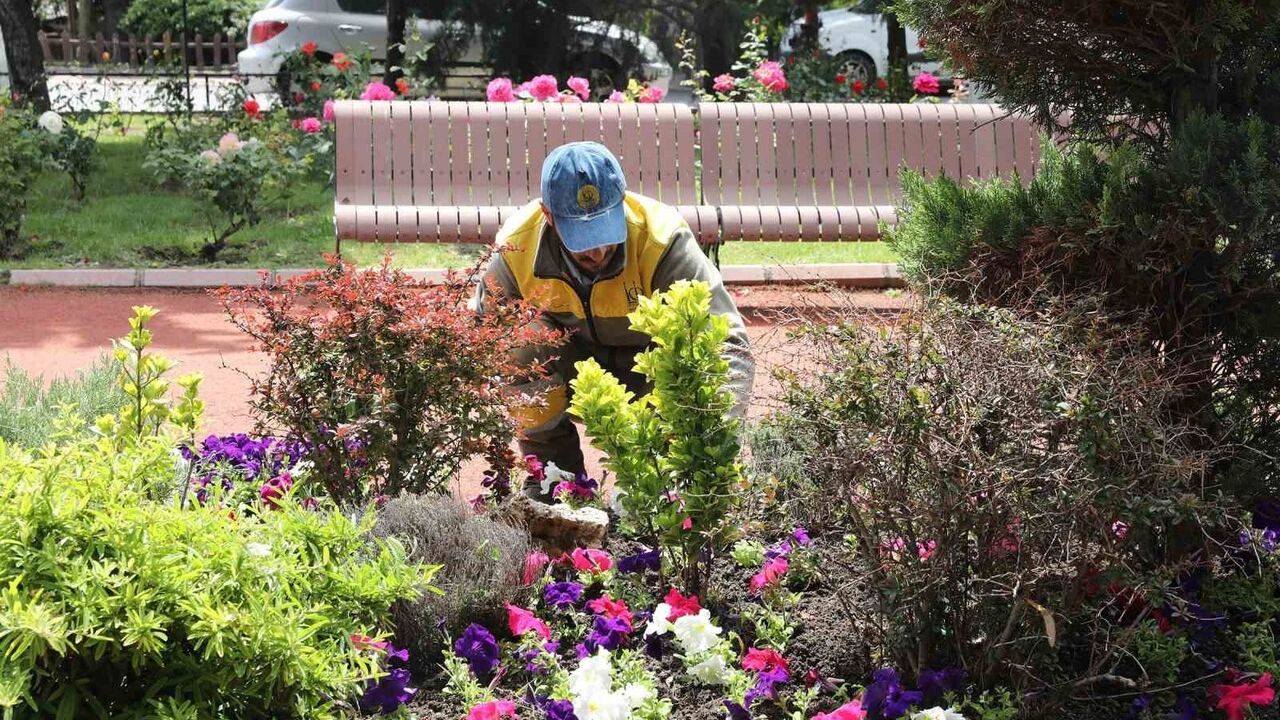 Keçiören'de seradan parklara uzanan yeşil yolculuk: Ovacık Mahallesi'ndeki modern sera