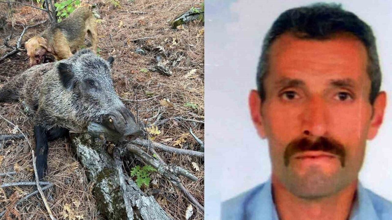 Kemah'ta domuz saldırısı sonucu avcı hayatını kaybetti