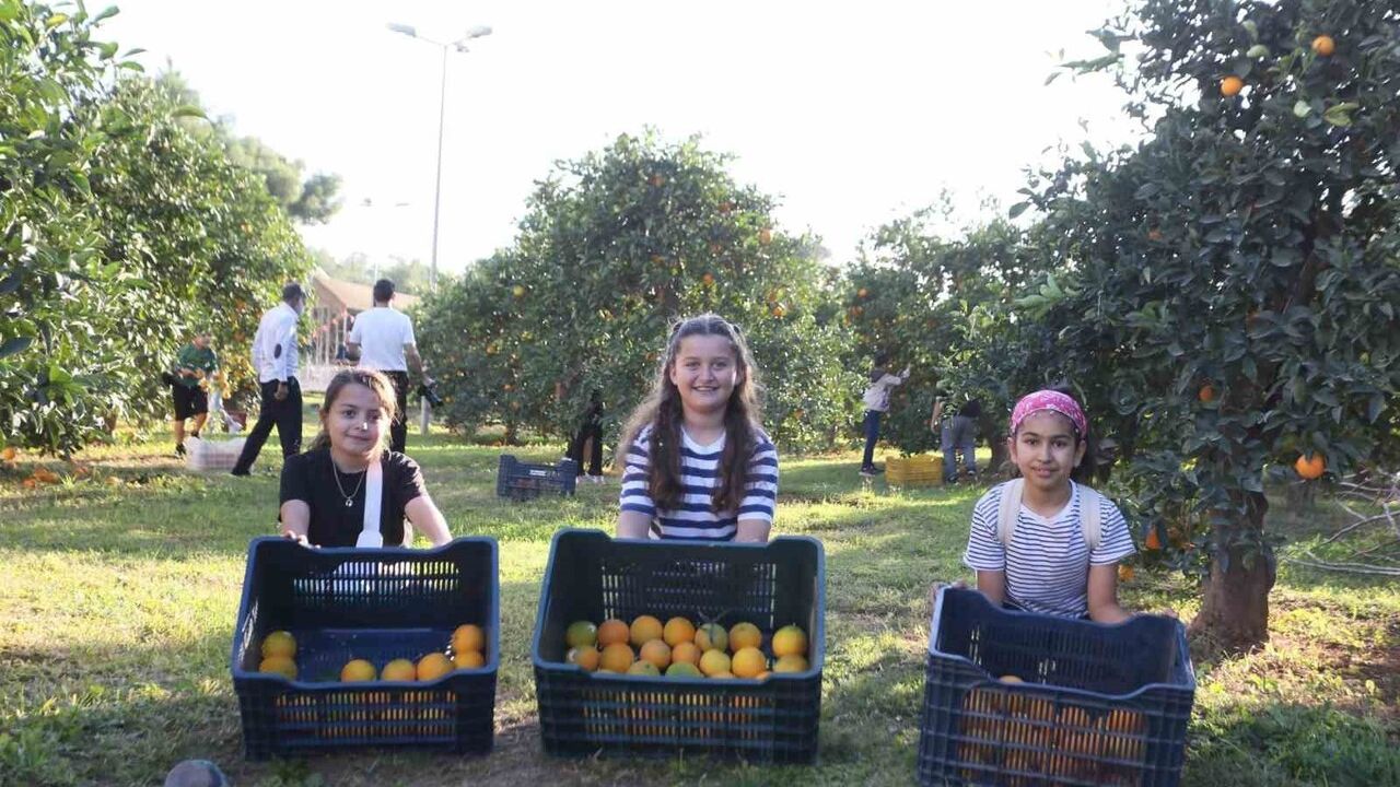 Kepez Belediyesi, Dokumapark’ta öğrencilerle portakal toplama etkinliği düzenledi