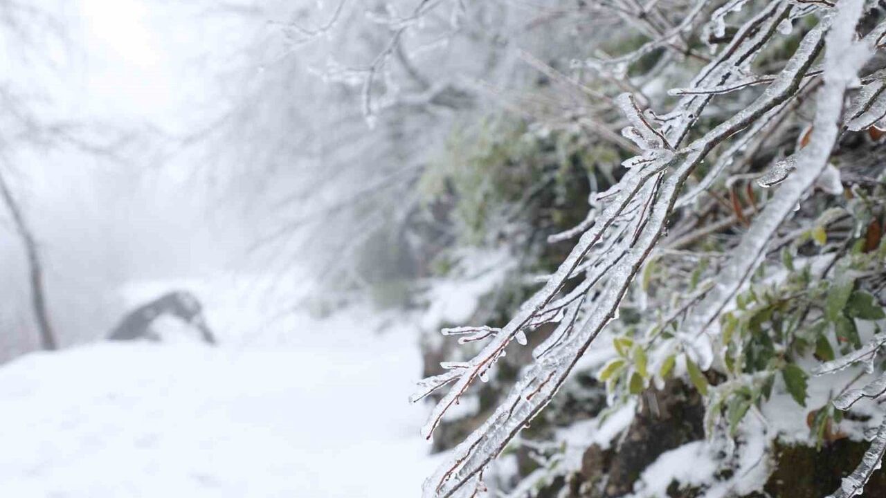 Keremali Yaylası'nda gece başlayan kar ve yoğun sis yaylayı beyaza bürüdü