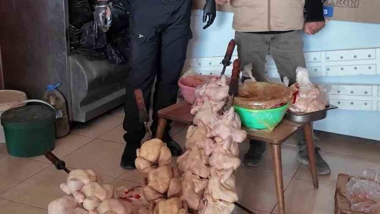 Kırıkhan'da zabıta "leş kokusu" tespit etti; hijyen ihlali nedeniyle dönerci kapatıldı
