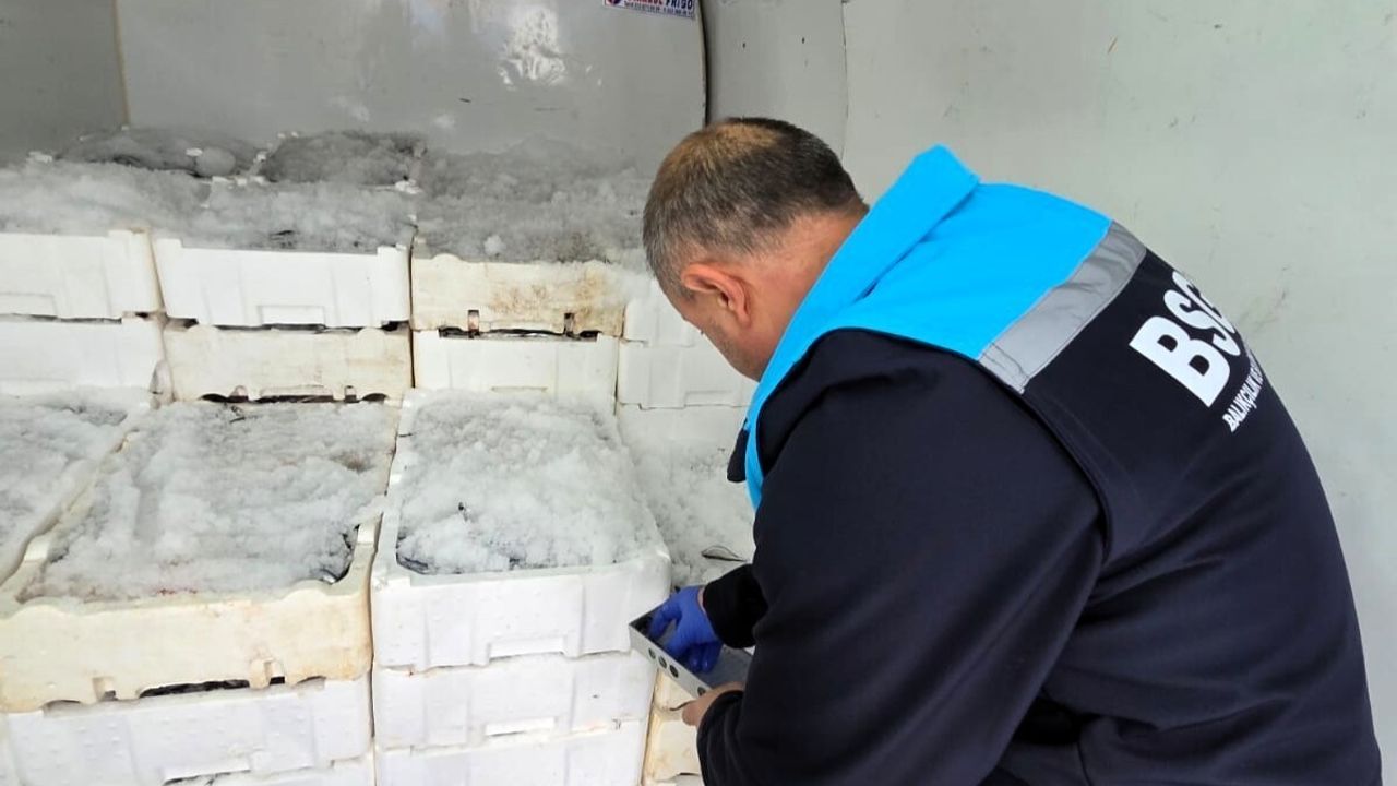 Kırklareli İğneada Limanı'nda Su Ürünleri Denetimi: Hamsi Kotasına ve Taşıma Şartlarına Odaklanıldı