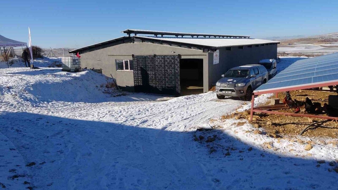 Kırsalda Bereket Hayvancılığa Destek Projesi 2028'e Kadar Sürecek: Yozgat'ta Gebe Düve Teslimleri ve Hibe Desteği