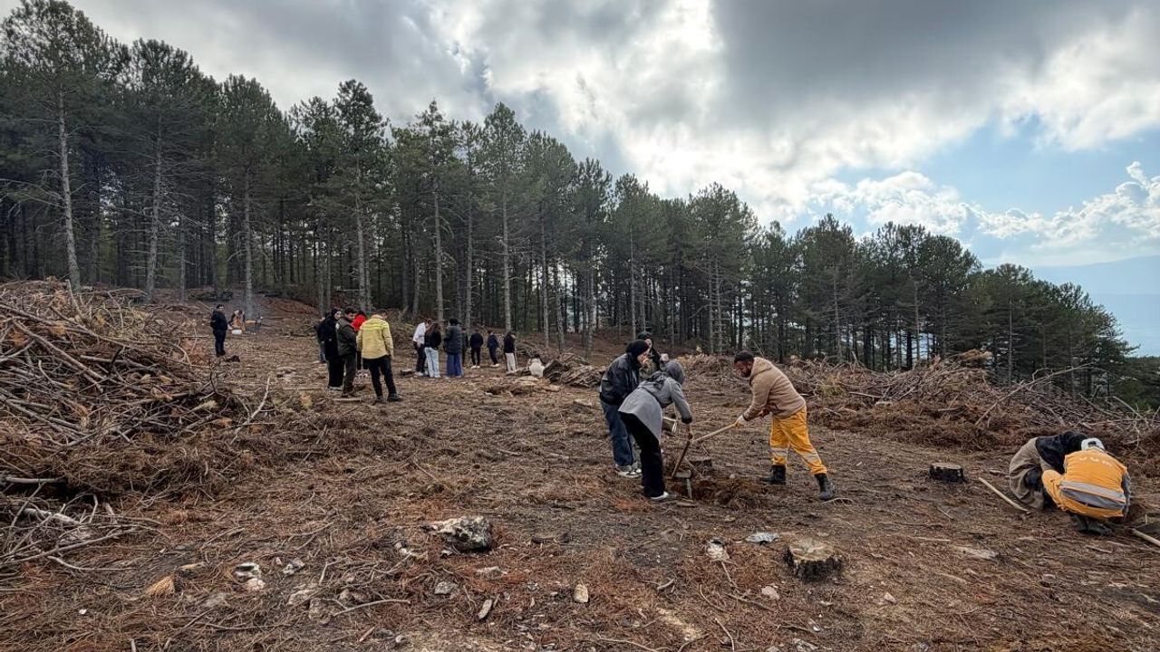 Kırşehir Ahi Evran Üniversitesi öğrencileri Çine Kavşit'te fidan dikti