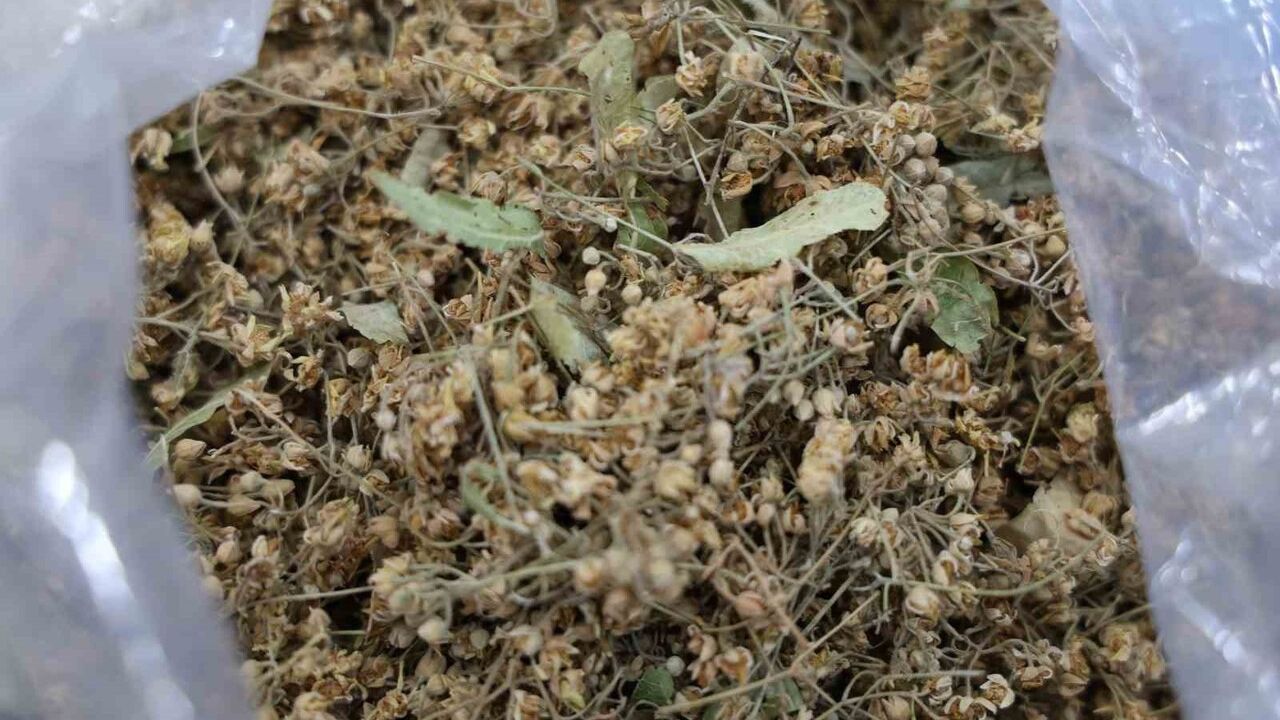 Kırşehir Uzun Çarşısı'nda Soğuklara Karşı Bitki Çayı Talebi ve Esnafın Önerileri