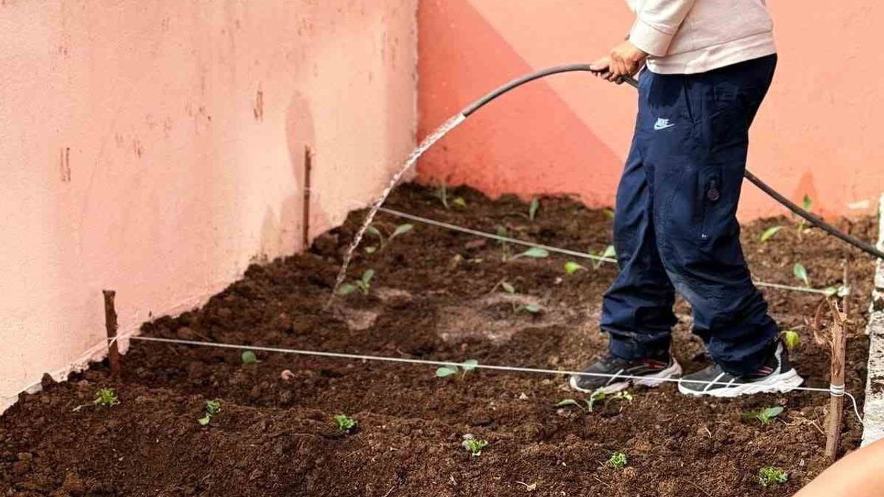 Kızılırmak Deltası'nda 'Genç Çiftçilere Emanet' projesiyle çocuklara tarım ve çevre eğitimi