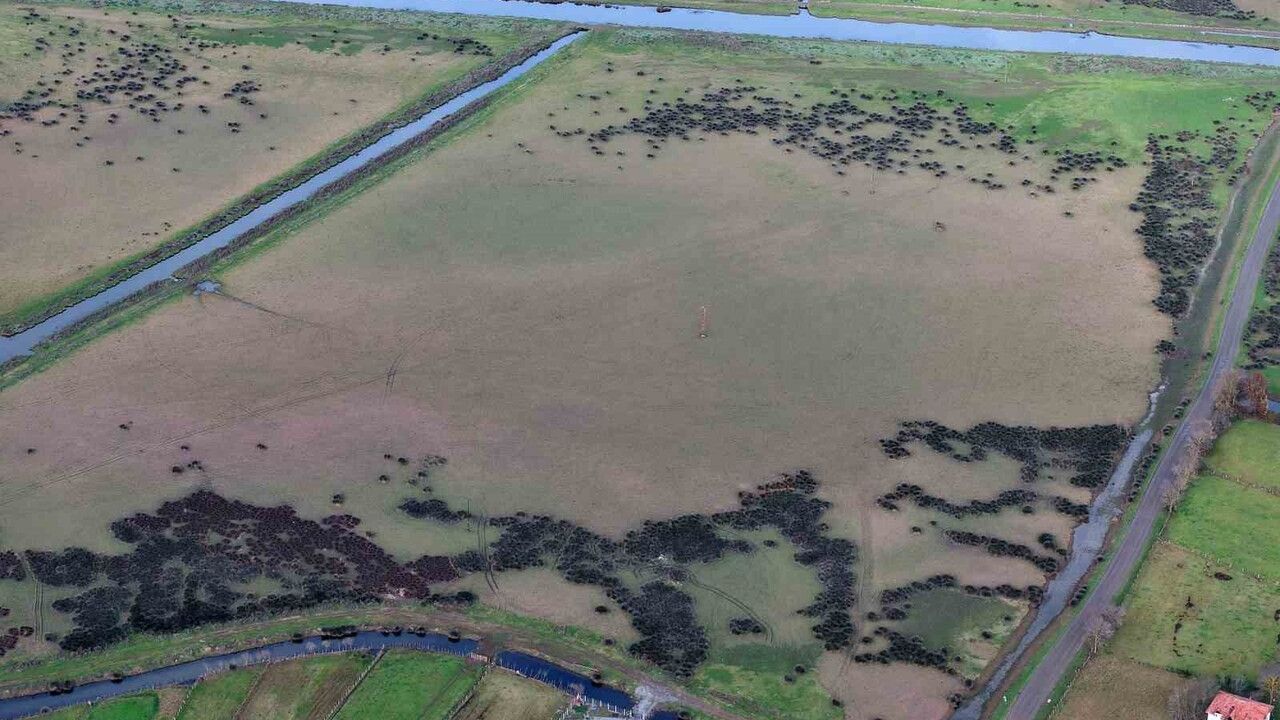 Kızılırmak Deltası’nda yer altı suları beslenemiyor: Her yıl su seviyesi düşüyor