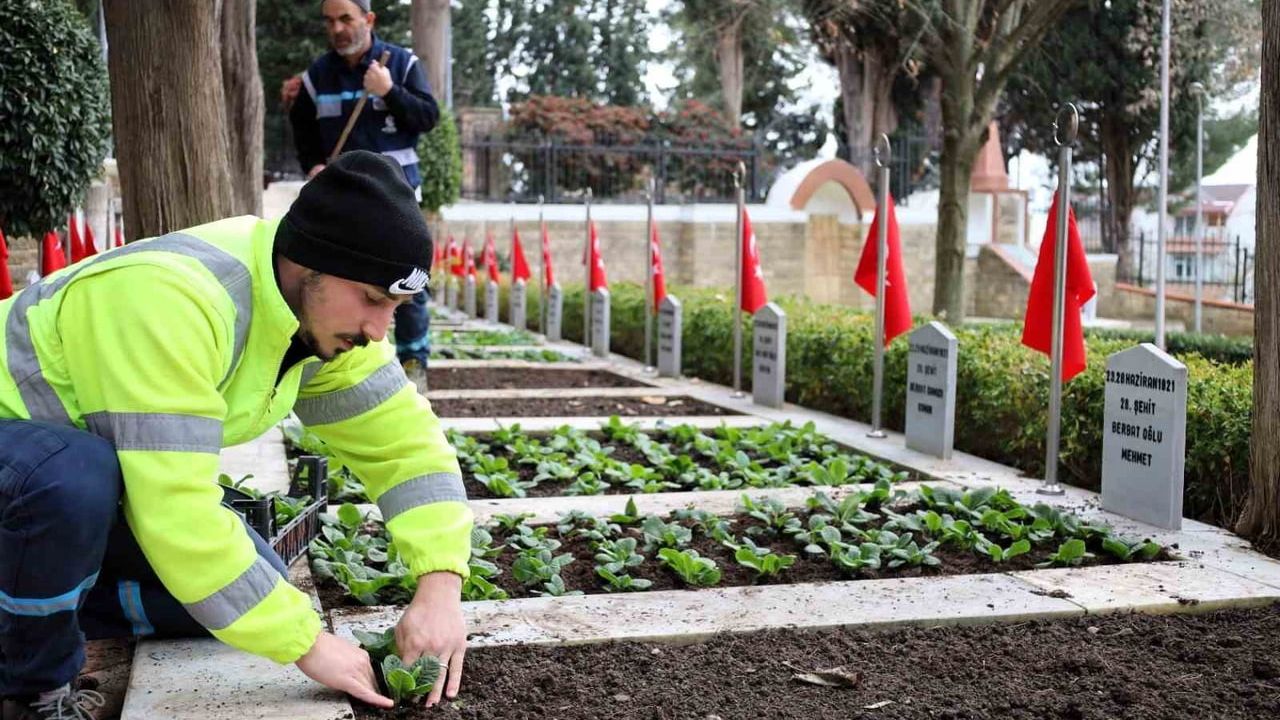 Kocaeli Büyükşehir Belediyesi, İzmit Bağçeşme'deki Namazgâh ve Polis Şehitliklerinde Çevre Düzenlemesi Yaptı