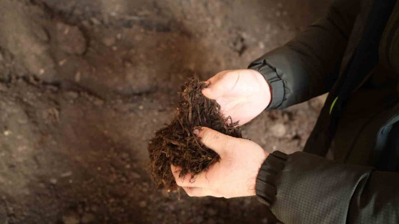 Kocaeli Büyükşehir Belediyesi'nin Torf Üretimi: Yılda 50 Milyon Lira Tasarruf ve Yeşil Alan Rehabilitasyonu