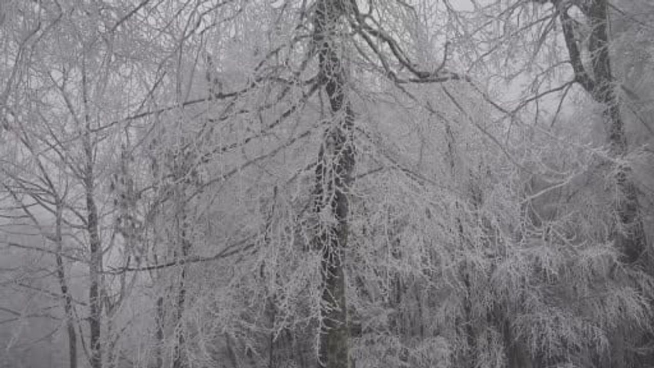 Kocaeli’de Kartepe ve Yüksek Kesimlerde Kar Etkili: Kar Kalınlığı 10 cm'ye Ulaştı