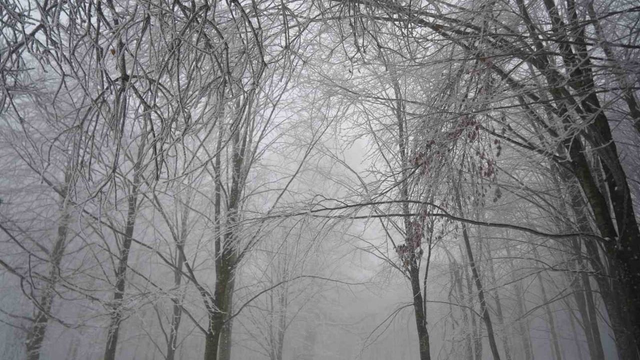 Kocaeli'de Kartepe ve yüksek kesimlerde kar örtüsü: Hava -6°C, kar 10 cm