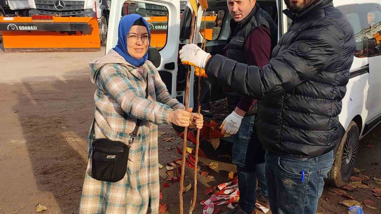 Kocaeli'de yüzde 50 hibeli 3 bin 600 Trabzon hurması fidanı üreticilere dağıtılacak