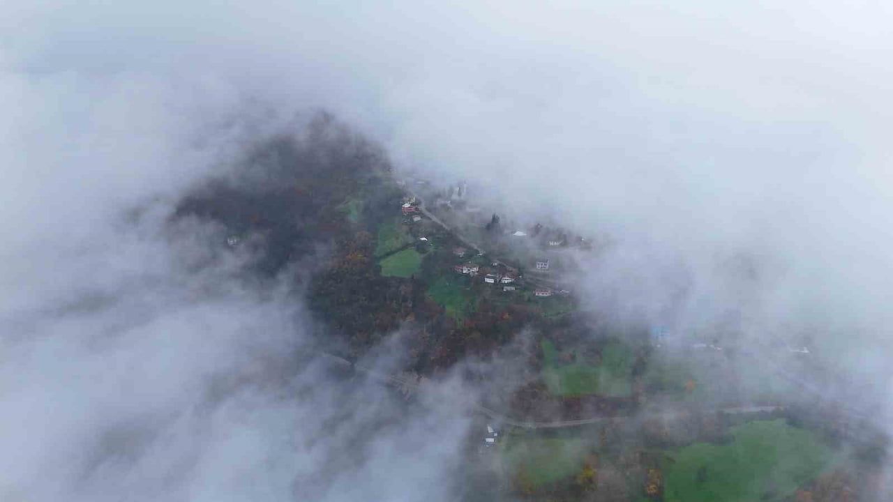 Kocaeli’nin yüksek kesimlerinde aralık sonu: Sis ve doğa renkleri kartpostallık görüntüler oluşturdu