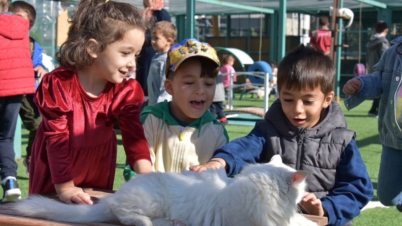 Kocasinan'ın 'Küçük Dostlar Ambulansı' 2017'den beri 10 bin 280 can kurtardı