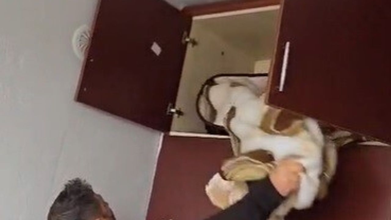 Konya'da 49 Suçtan Aranan Şahıs Evde Gardırop Üstünde Yakalandı