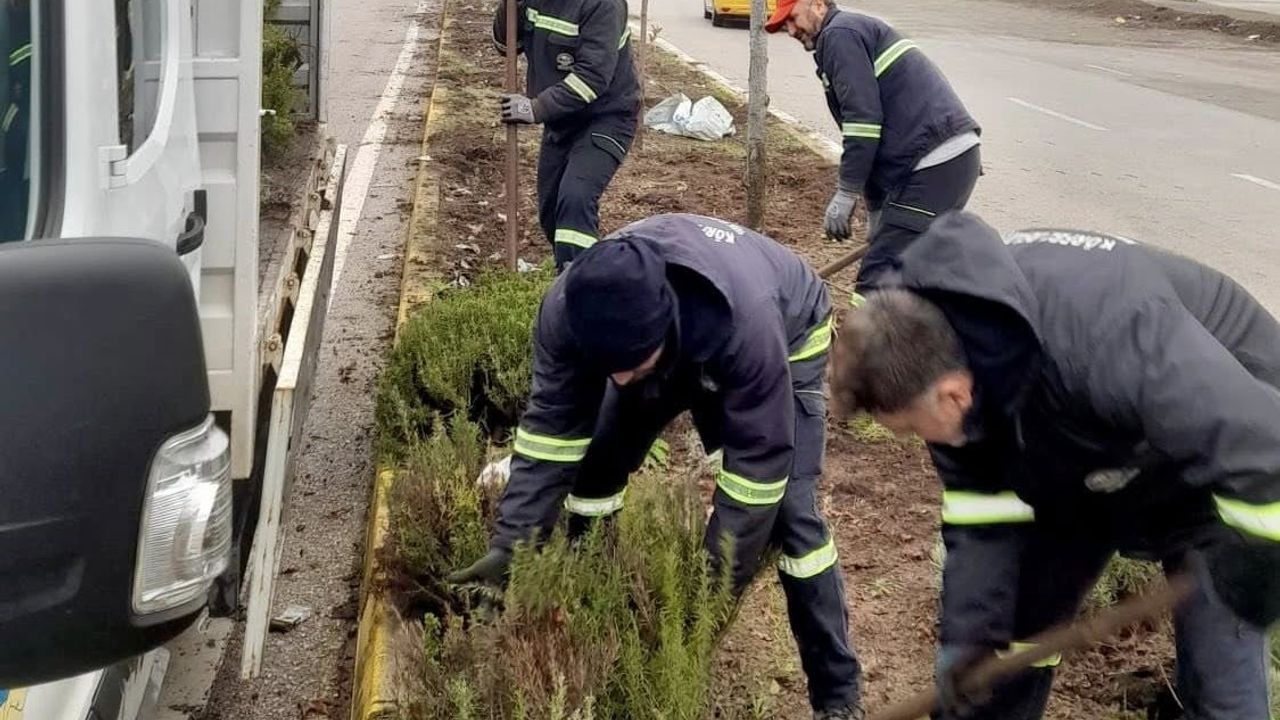 Körfez'de Parklar Çiçeklerle Canlanıyor: Mevsimsel Peyzaj Çalışmaları Sürüyor
