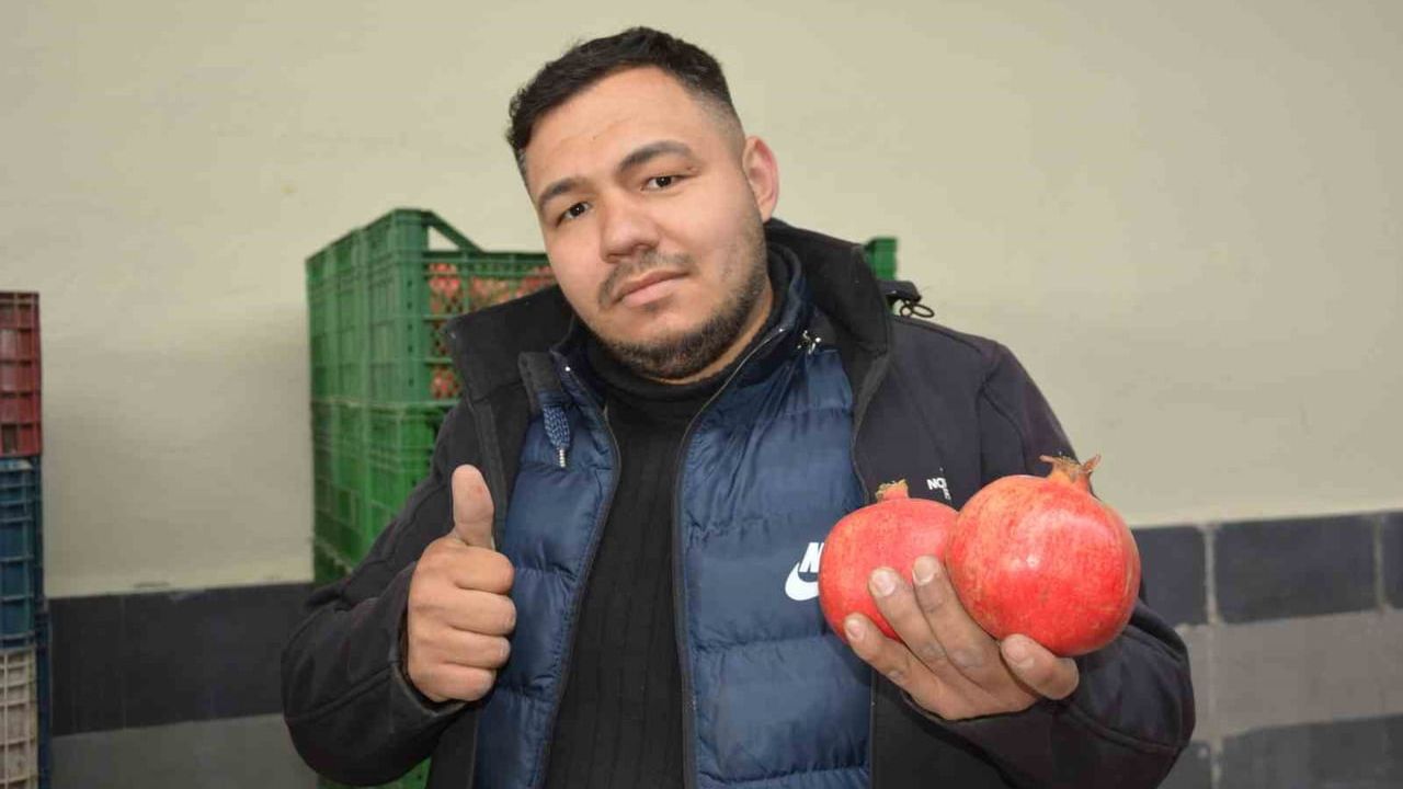 Korkuteli'den nar ihracatı başladı — Antalya narları Almanya, Ukrayna ve Rusya pazarında