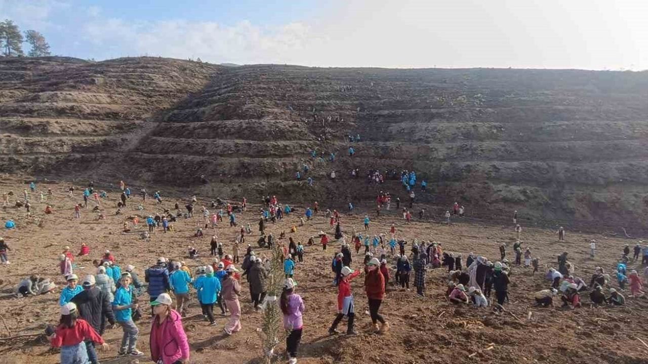 Kozan'da öğrenciler yanan alanı ağaçlandırdı: 500 öğrenci 2 bin 500 fidan dikti