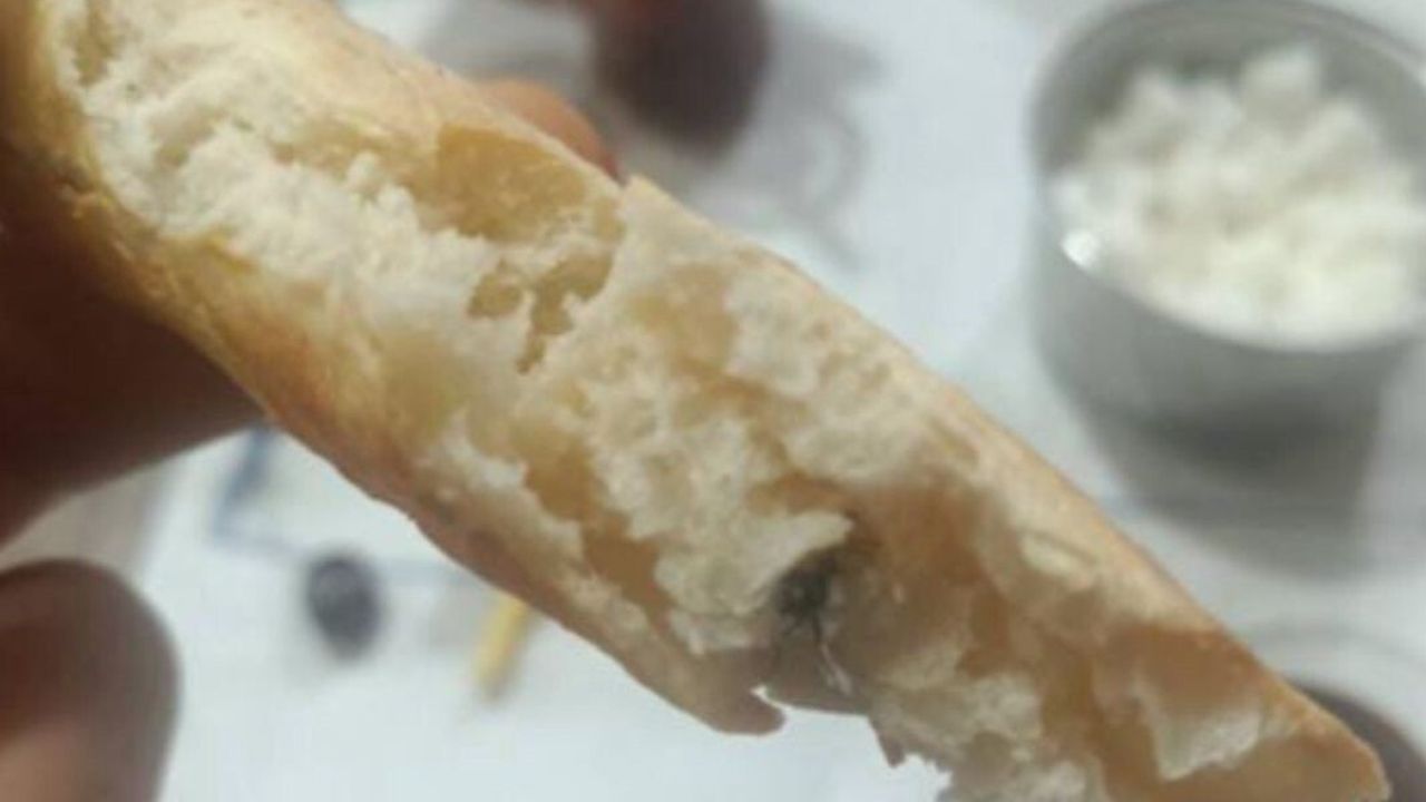Kurtalan’da fırından alınan ekmeğin içinden sinek çıktı — Vatandaş denetim talep etti