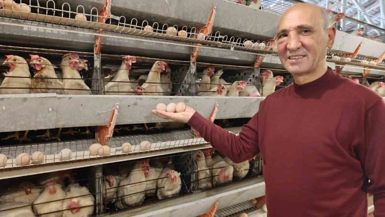 Kuşu'da yeni tesis: 16 bin tinted coral tavukla günlük yaklaşık 15 bin yumurta üretimi