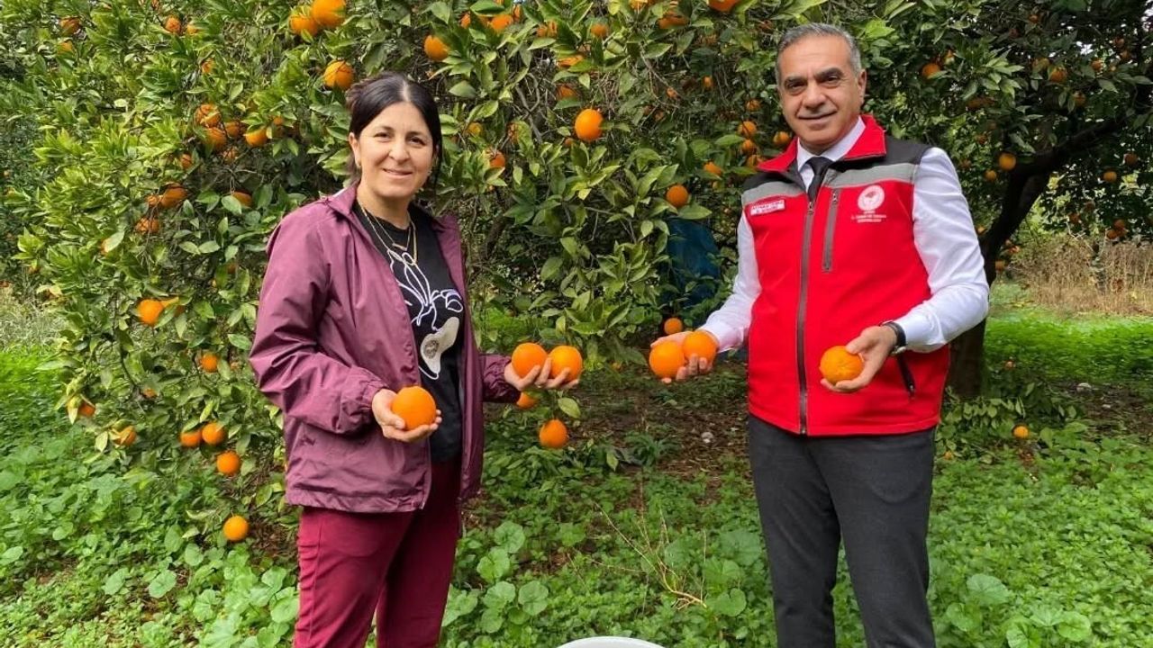Kuyucak’ta Coğrafi İşaretli Portakal Hasadı: EKÜY Belgeleri Üreticilere Teslim Edildi