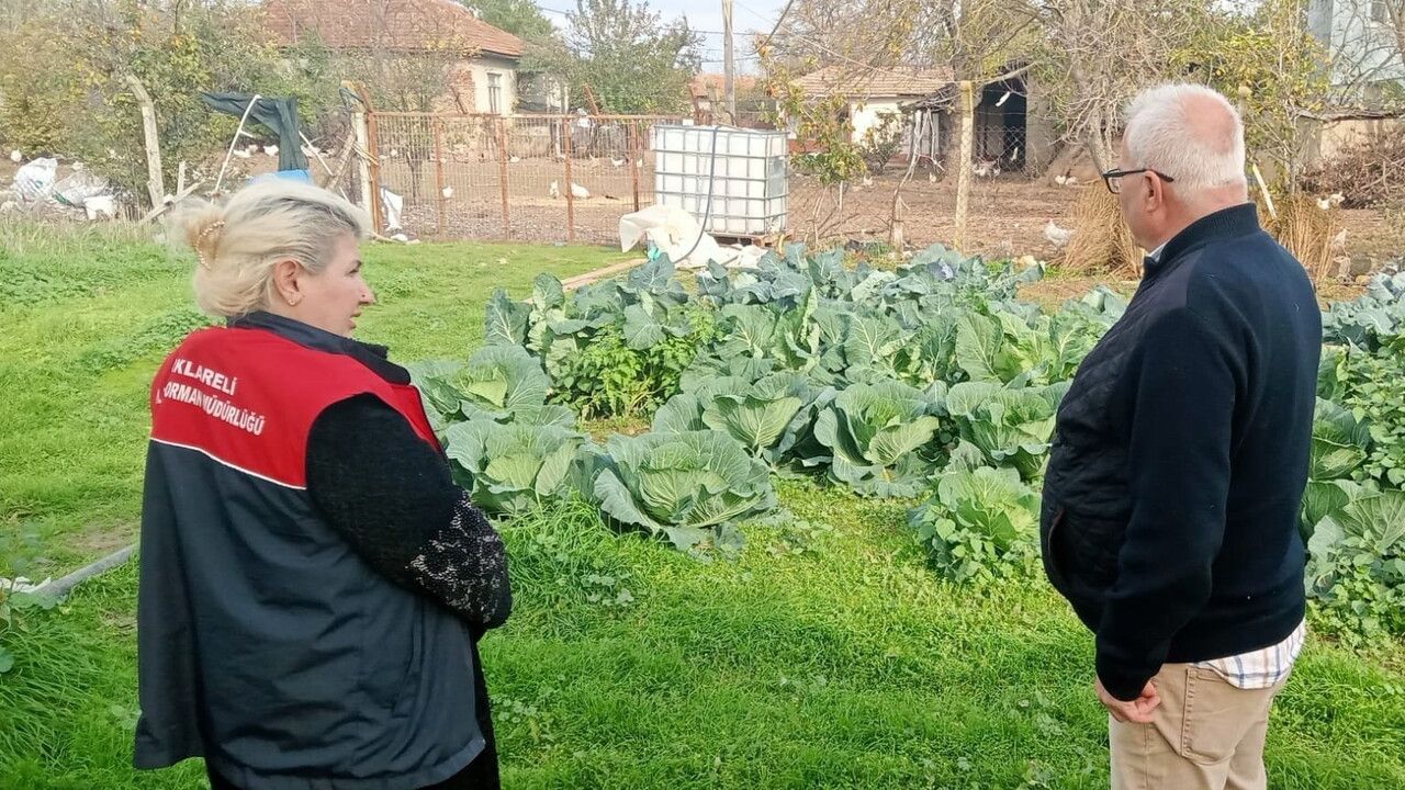 Lüleburgaz'da Tarım ve Orman Müdürlüğü teknik ekipleri seralarda inceleme yaptı