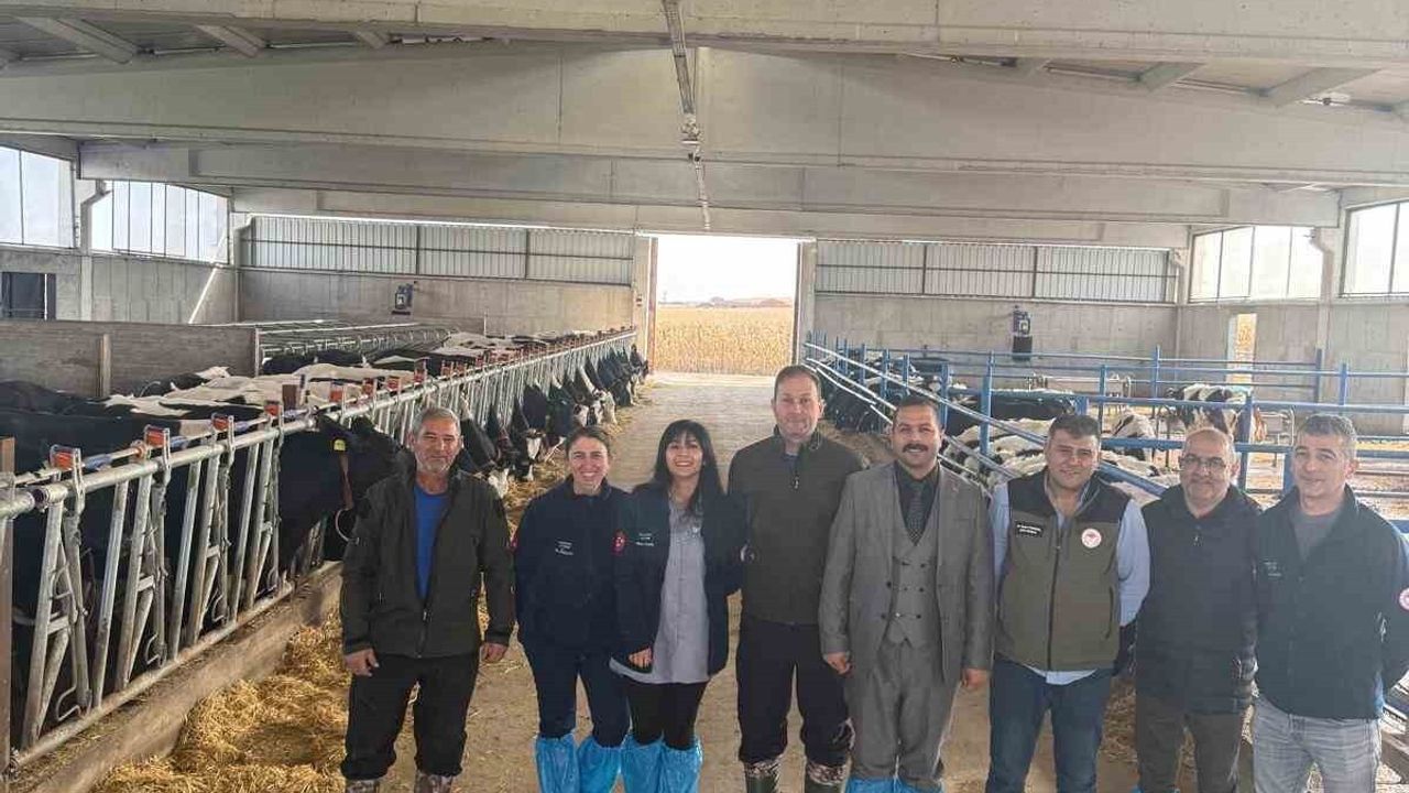 Mahmudiye'nin ilk Hastalıktan Ari İşletme sertifikası teslim edildi