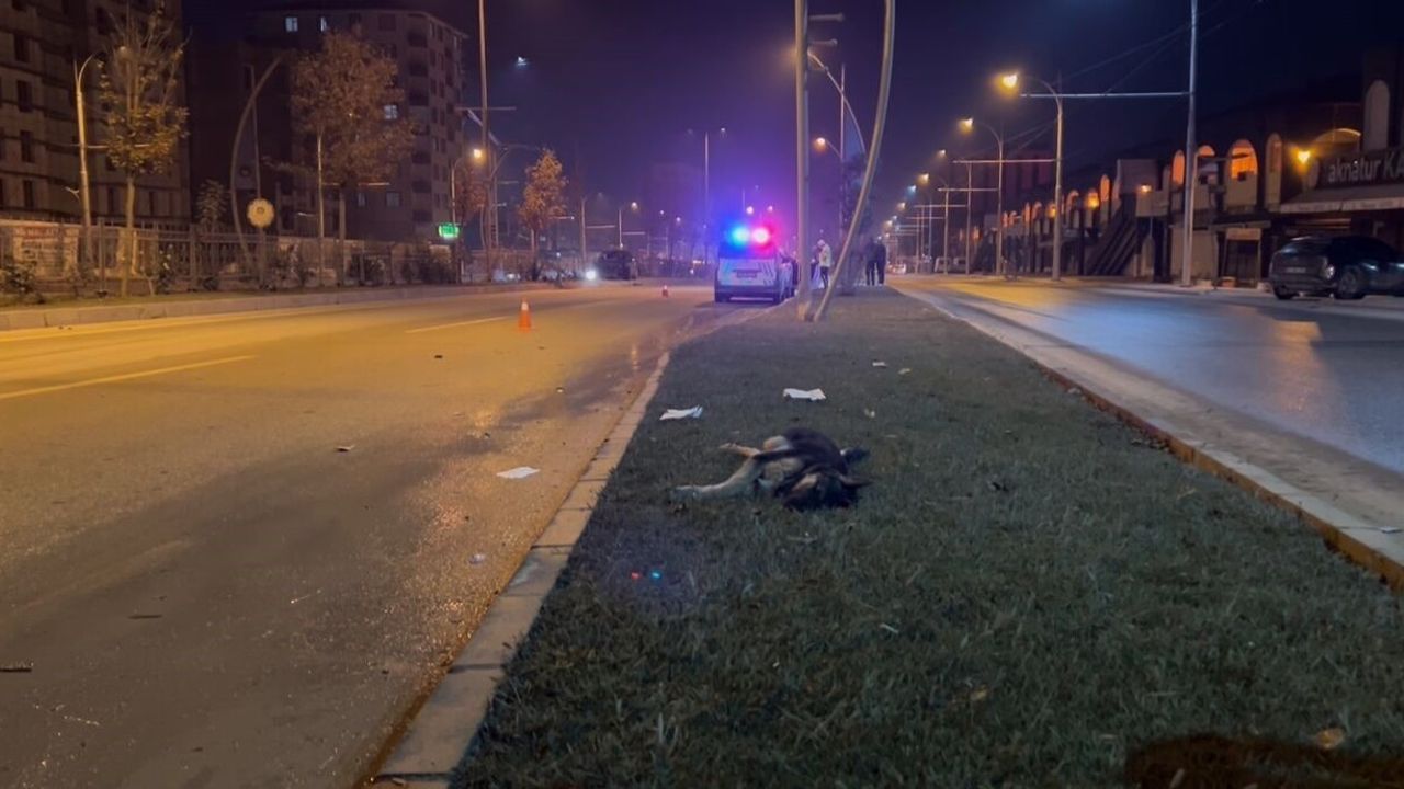 Malatya'da Köpeğe Çarpmamak İçin Manevra Yapan Sürücü Refüje Çıktı, Sürücü Yaralandı