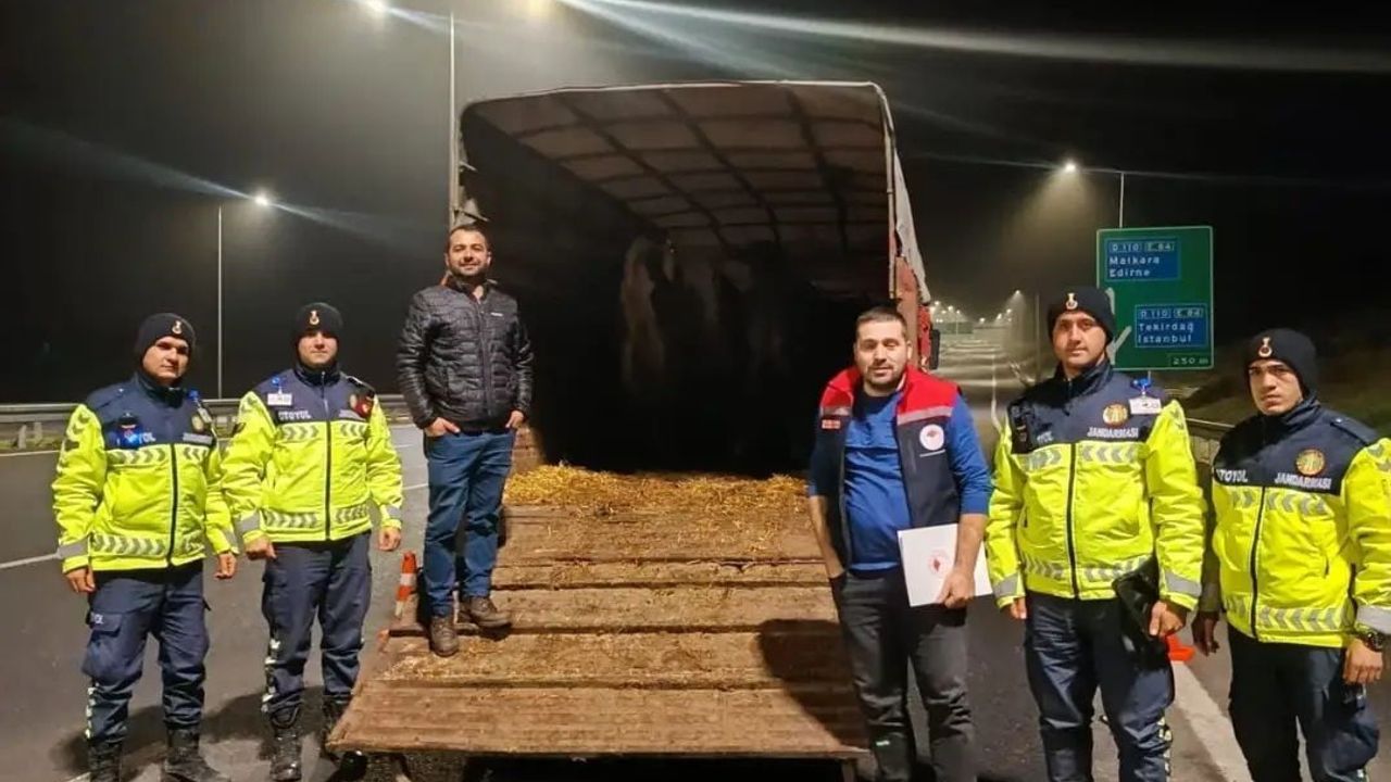 Malkara'da belgesiz hayvan sevkine idari para cezası; hayvanlar işletmeye iade edildi