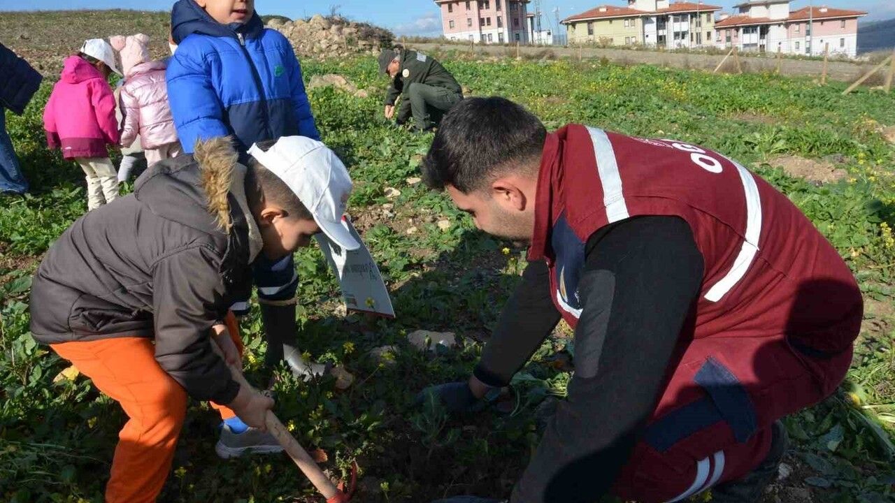 Manisa’da 100 Bininci Fidan Dikildi: Yanan Alanların Yeniden Ağaçlandırılması Sürüyor