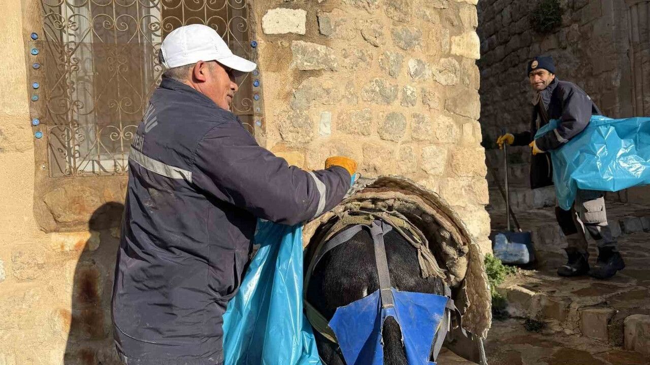 Mardin Artuklu'da 'kadrolu' eşekler kademeli olarak emekli edilecek, paletli araçlar devreye giriyor
