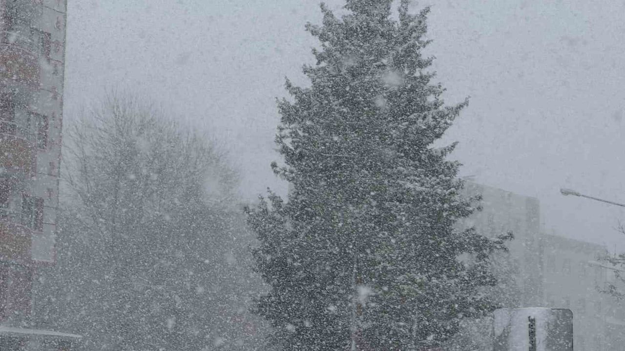 Mardin Mazıdağı'nda yoğun kar ve tipi ulaşımı etkiliyor
