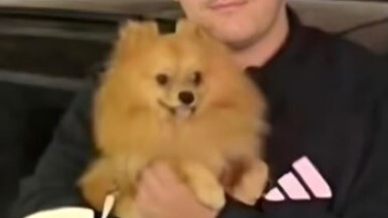 Mardin Ömerli'de üç aracın çarpıştığı kazada hayatını kaybeden 4 kişi defnedildi