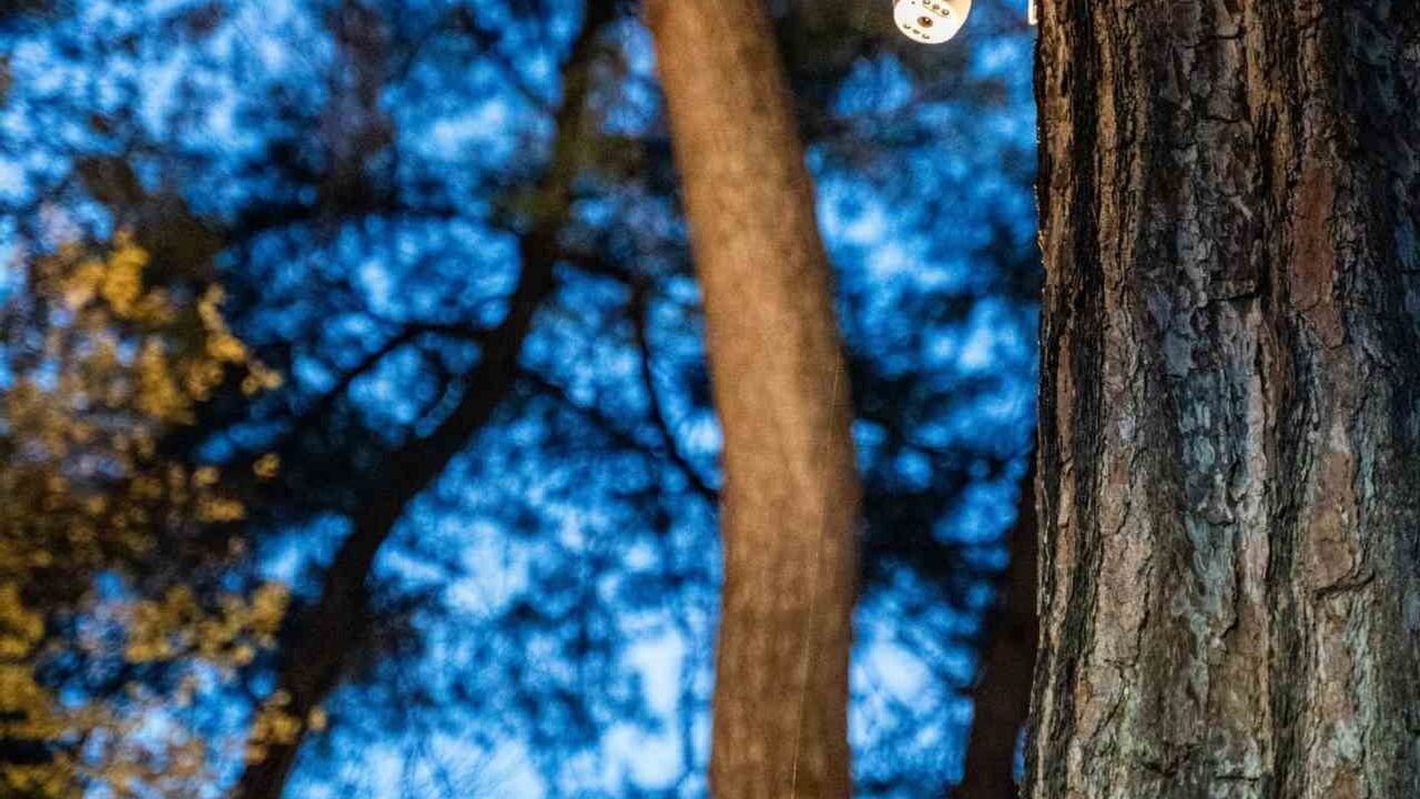 Marmaris’te 2 bin 400 yıllık Yeşilbelde Kaya Mezarı aydınlatma ve kameralarla korunuyor