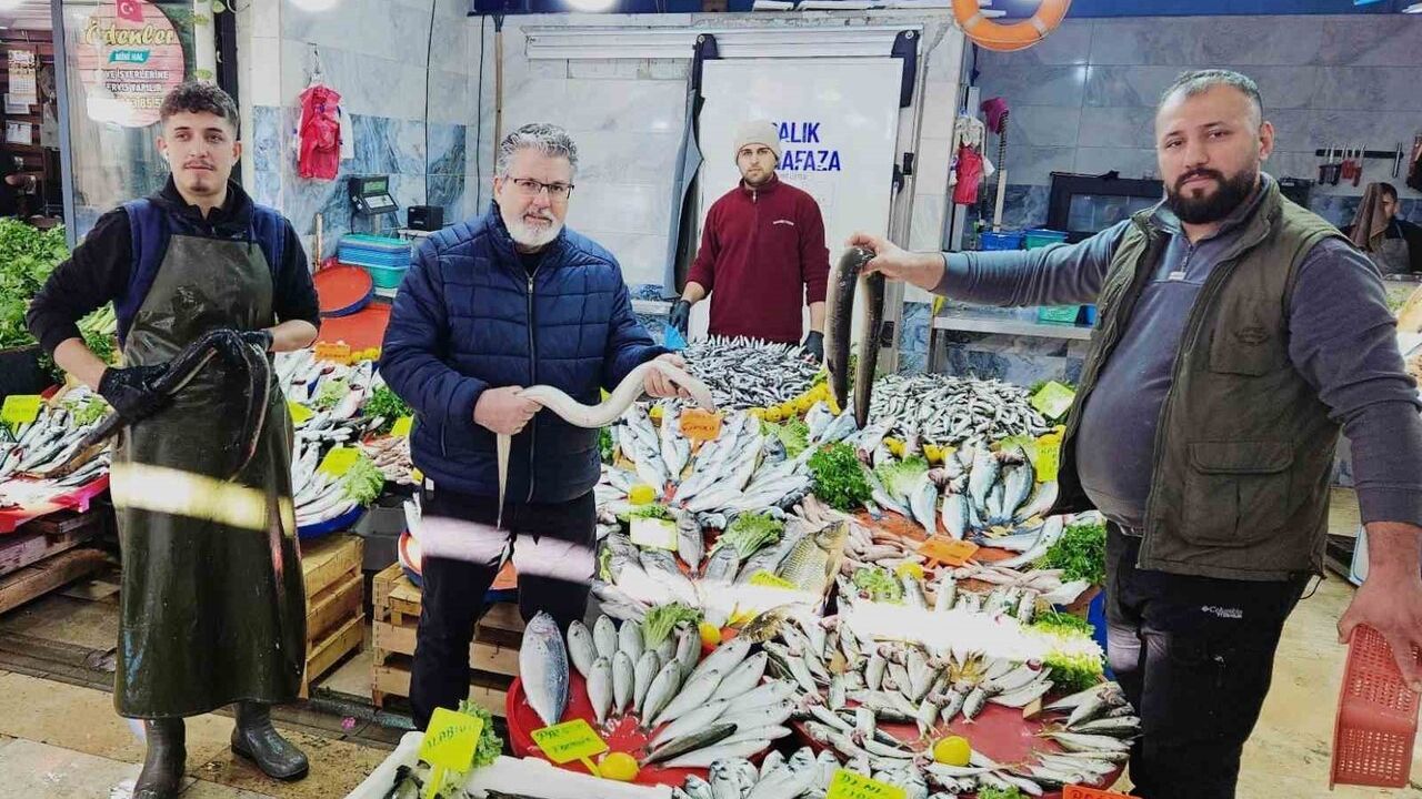 Meksika Körfezi'nden 7 bin km sonra Bafa Gölü'ne ulaşan yılan balıkları tezgahlarda