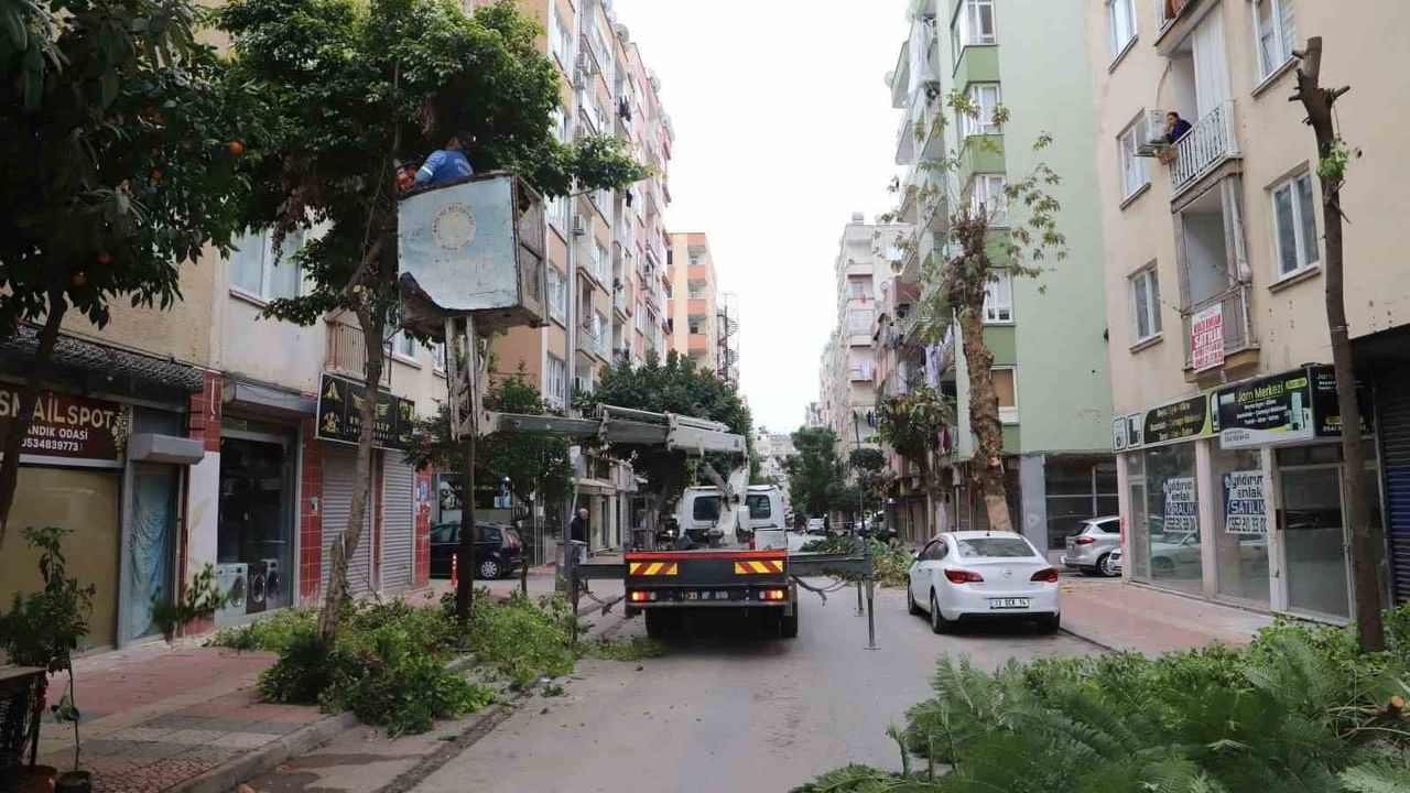 Mersin Akdeniz Belediyesi, Yeni Mahalle’de Ağaçların Kış Bakımını ve Budamasını Yürüttü