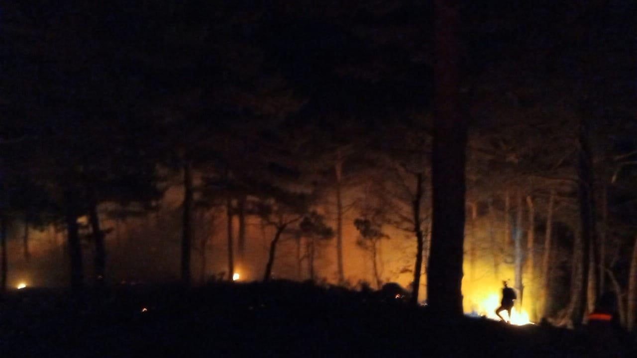 Mersin Bozyazı Tekmen Mahallesi'nde Orman Yangını Kontrol Altına Alındı