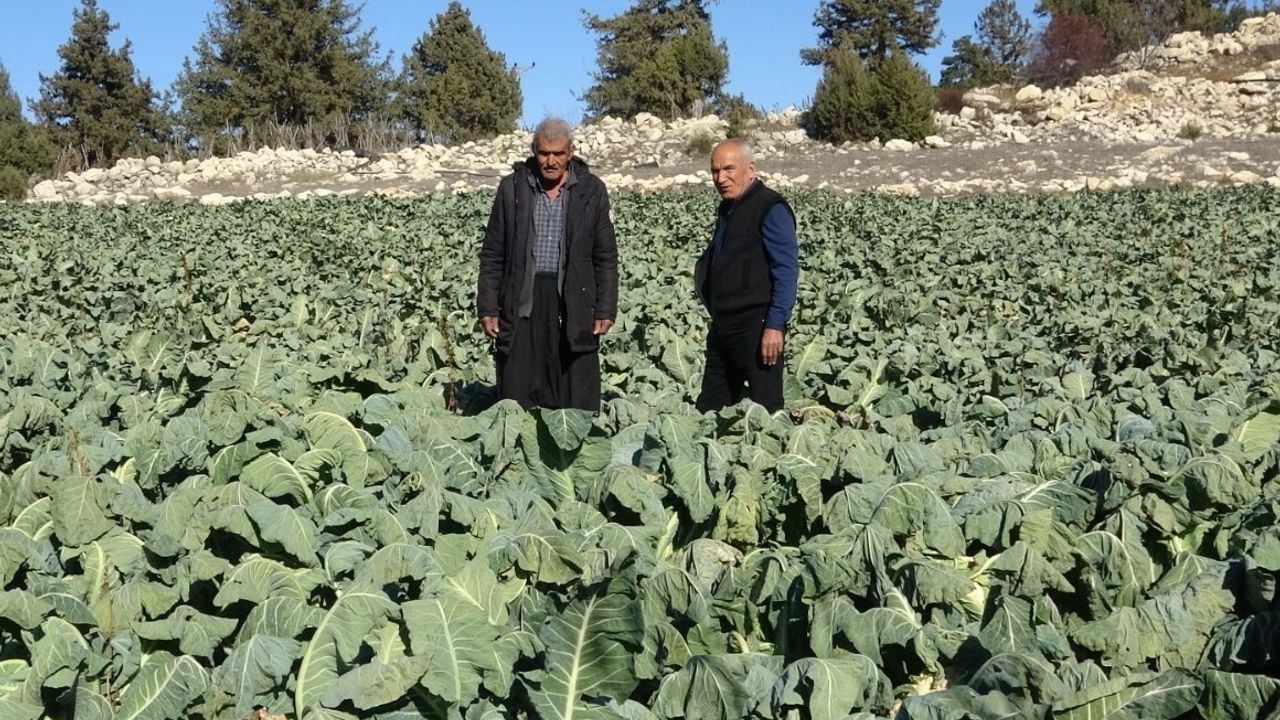 Mersin'de çamurlu ayakkabısını çıkarıp çorapla alışveriş yapan kişinin çiftçi olduğu açıklandı