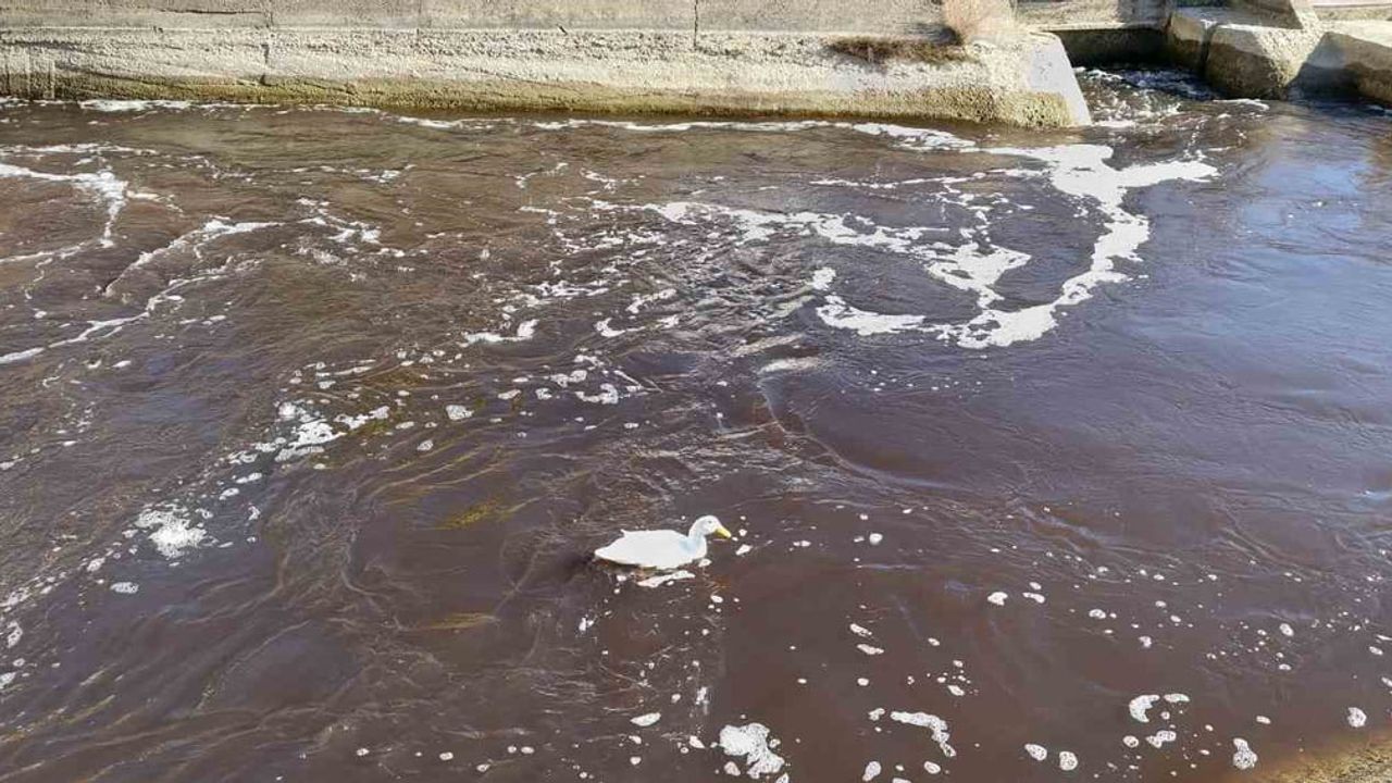 Mersin'de Göksu Nehri siyah aktı; yetkililer numune aldı