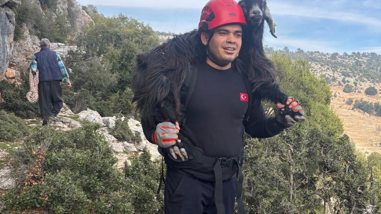 Mersin'de kayalıklarda mahsur kalan iki keçi itfaiye ekiplerince kurtarıldı