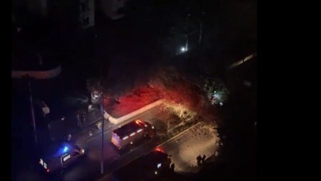 Mersin Mezitli'de Yol Kenarındaki Ağaç Otomobilin Üzerine Devrildi: Sürücü Yaralanmadı