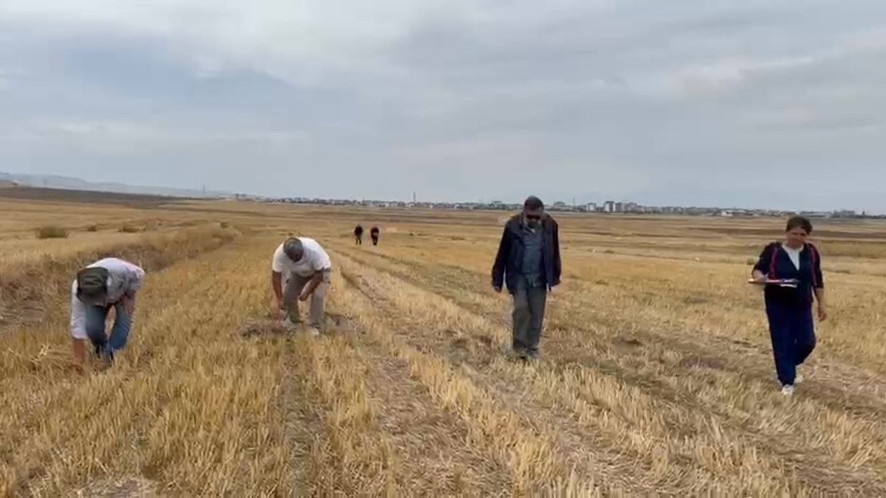 Merzifon Savaşı'nın izleri: Haçlıların güzergahı ve bozguna uğradıkları kale tespit edildi